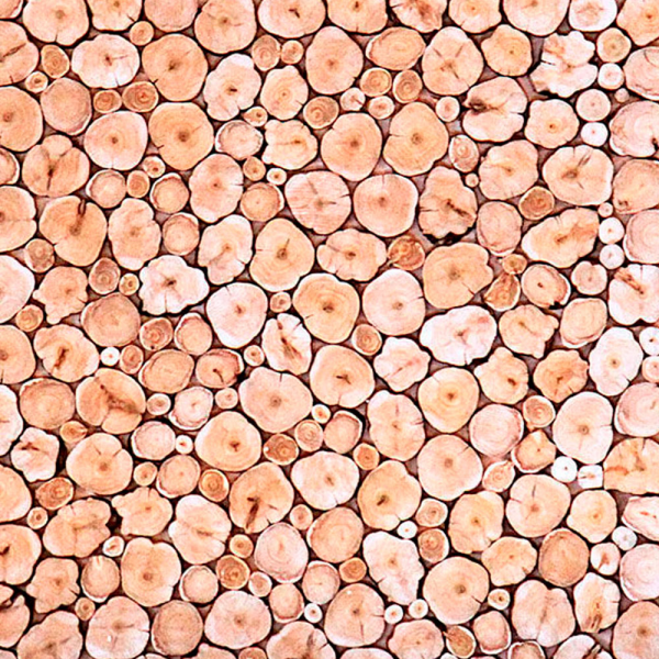 Панно из можжевельника 1000х500мм