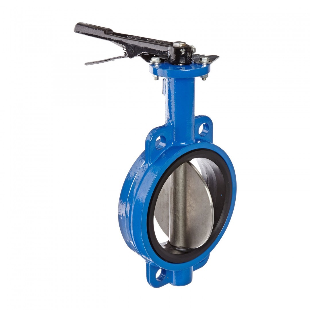 Затвор дисковый поворотный Ду65