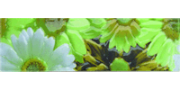 Плитка 250*400 Киров Парадис зеленый 271721 бордюр