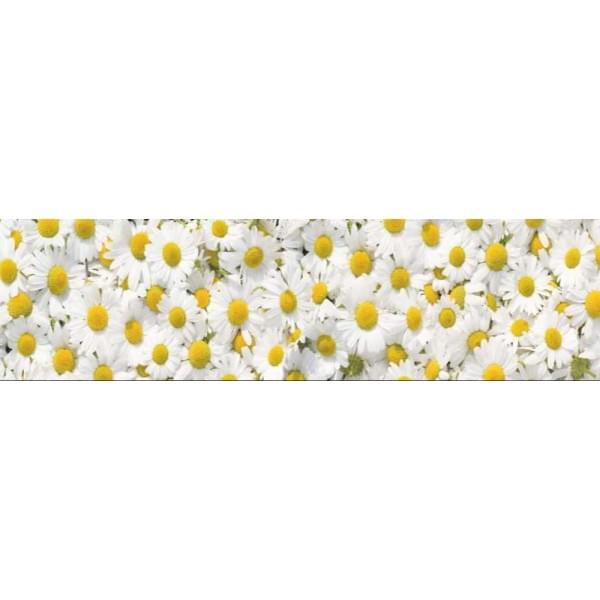 Фартук Листовая панель ПВХ Ромашки 3,0м Ур.