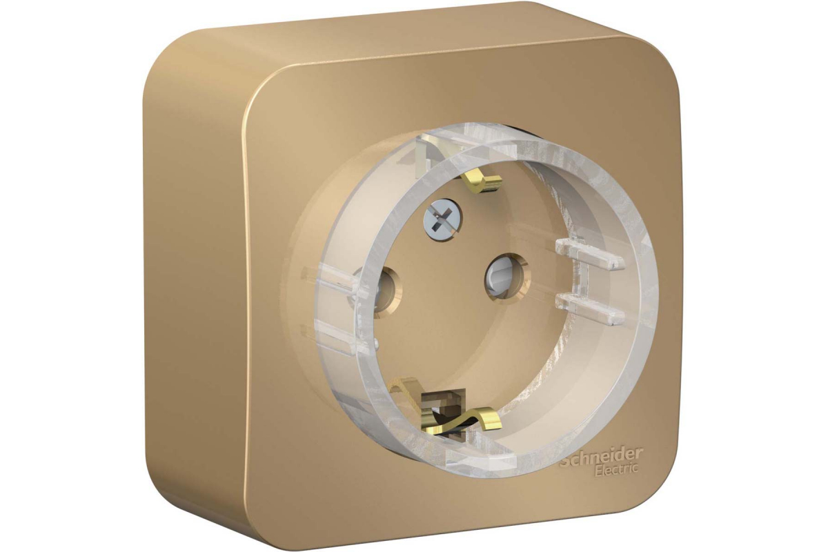 Розетка BLANCA с/з наружн титан 250В 16А BLNRA010114