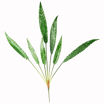 Калатея куст искусствен., 7 листьев, Н93 см, 7143/0033-12