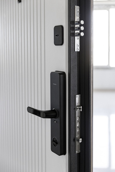 Дверь ,  металл CYBER START (W3-301) (860*2050*98) прав Дуб янтарь /африканское лапачо